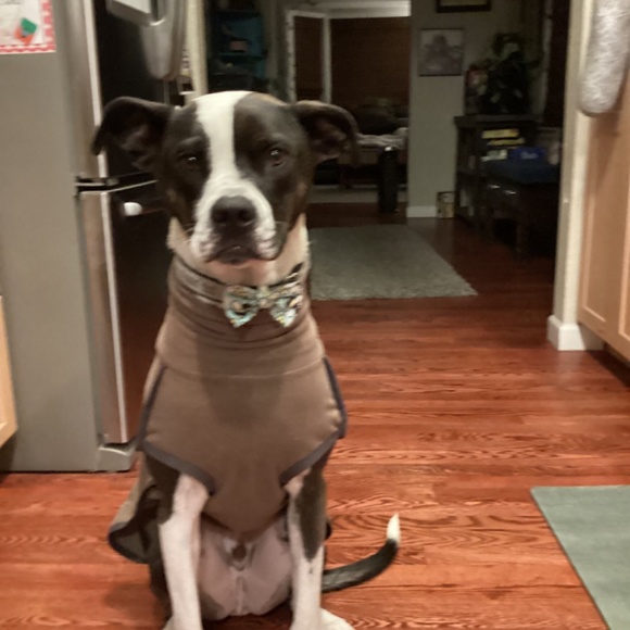 Homemade cards( birthday, valentines, etc) and homemade bracelets - Picture 5 of 5